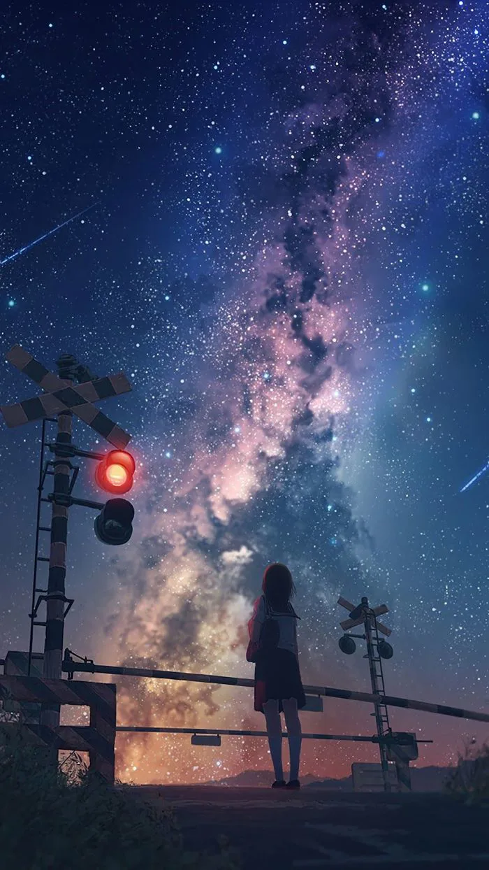Ngắm sao giữa bầu trời đêm