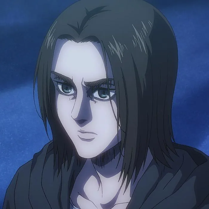 Eren Jaeger (Anime) | Wiki Attack On Titan | Fandom