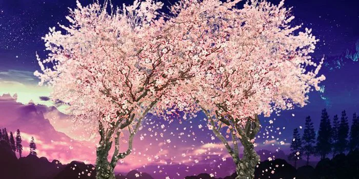 Bí mật đen tối đằng sau biểu tượng những cây hoa anh đào kinh điển trong  anime