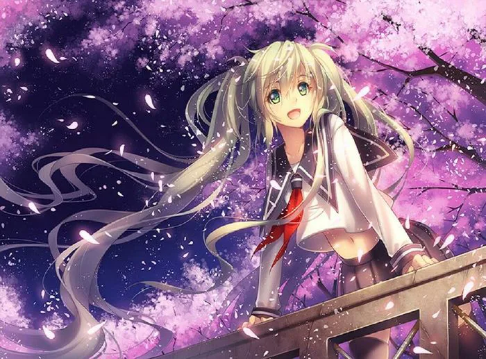 Những hình ảnh anime hoa anh đào đẹp mê hoặc