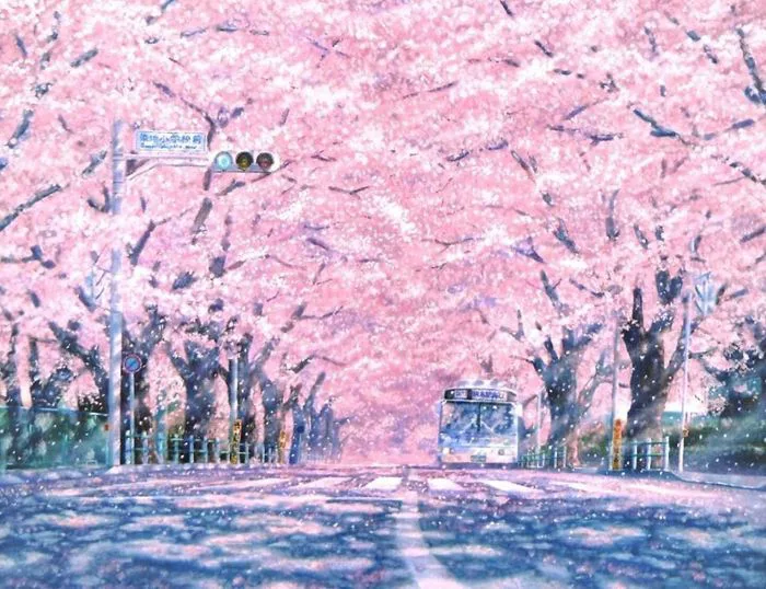 Xả Ảnh Anime Đẹp, Hiếm . - Xả Ảnh Hoa Anh Đào - Wattpad