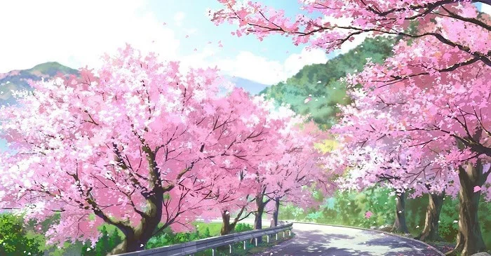 Ảnh Hoa Anh Đào Anime Tuyệt Đẹp [Bộ 96+ Hình Siêu Cute]