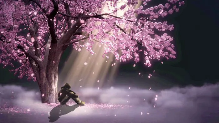 Những hình ảnh anime hoa anh đào đẹp mê hoặc