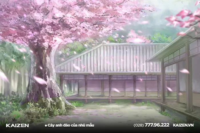 Những câu chuyện cảm động về hoa anh đào Nhật BảnNhững câu chuyện cảm động  về hoa anh đào Nhật Bản
