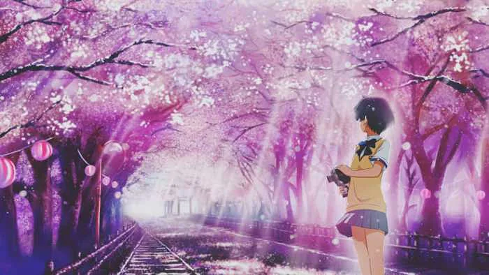 Ảnh Hoa Anh Đào Anime Tuyệt Đẹp [Bộ 96+ Hình Siêu Cute]