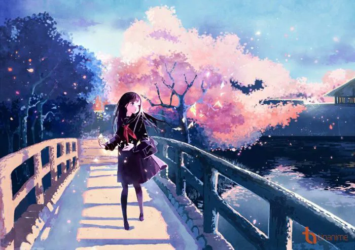 Những Ảnh Anime Đẹp - #83: Hoa anh đào - Wattpad