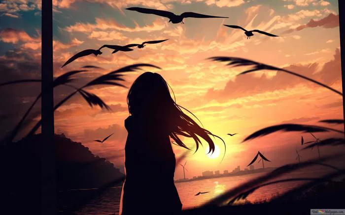 Cô Gái Ngắm Hoàng Hôn Ngắm Nhìn Buồn 4K tải xuống hình nền