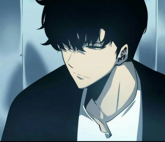 Ảnh Anime Đẹp (3) - Sung Jin Woo ( Solo Leveling ) - Wattpad