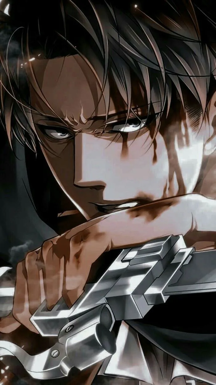 450 Lệ Vi ý tưởng | attack on titan, levi ackerman, shingeki no kyojin