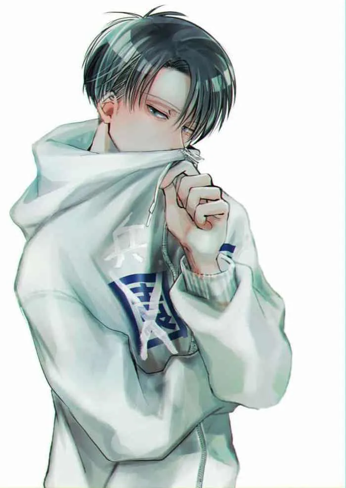 Ảnh Levi Ackerman: 91+ Ảnh Anime Attack On Titan Cute Nhất