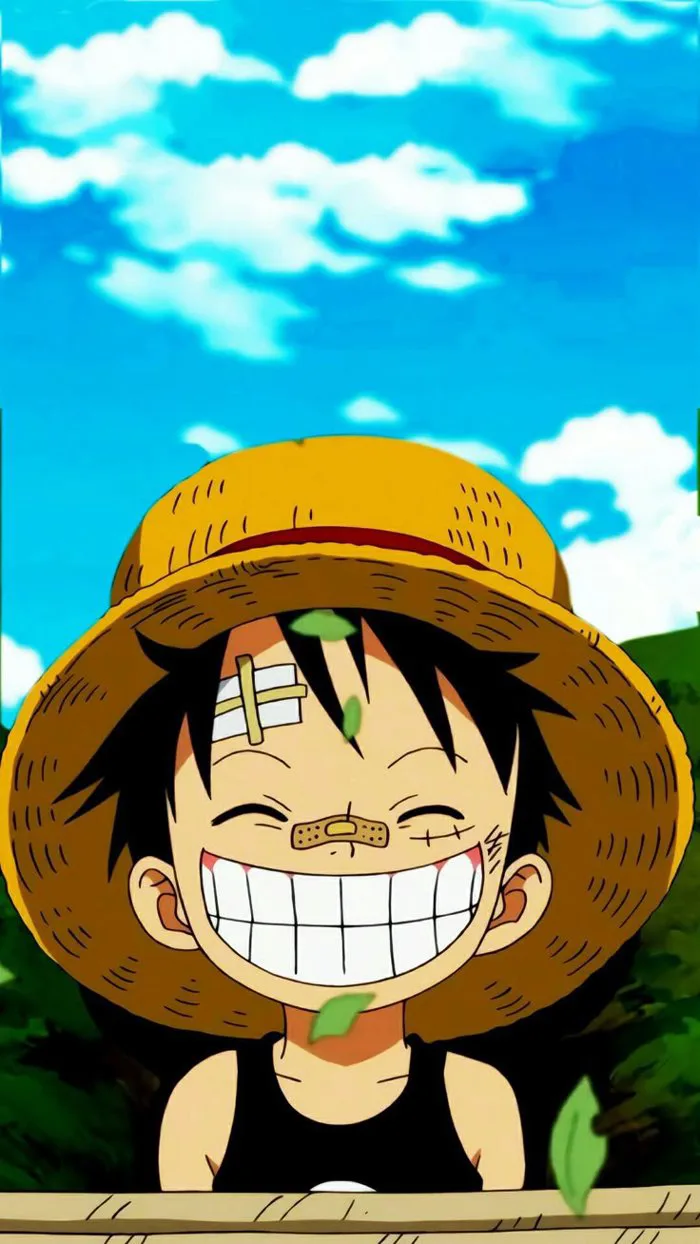 anh-anime-luffy-1