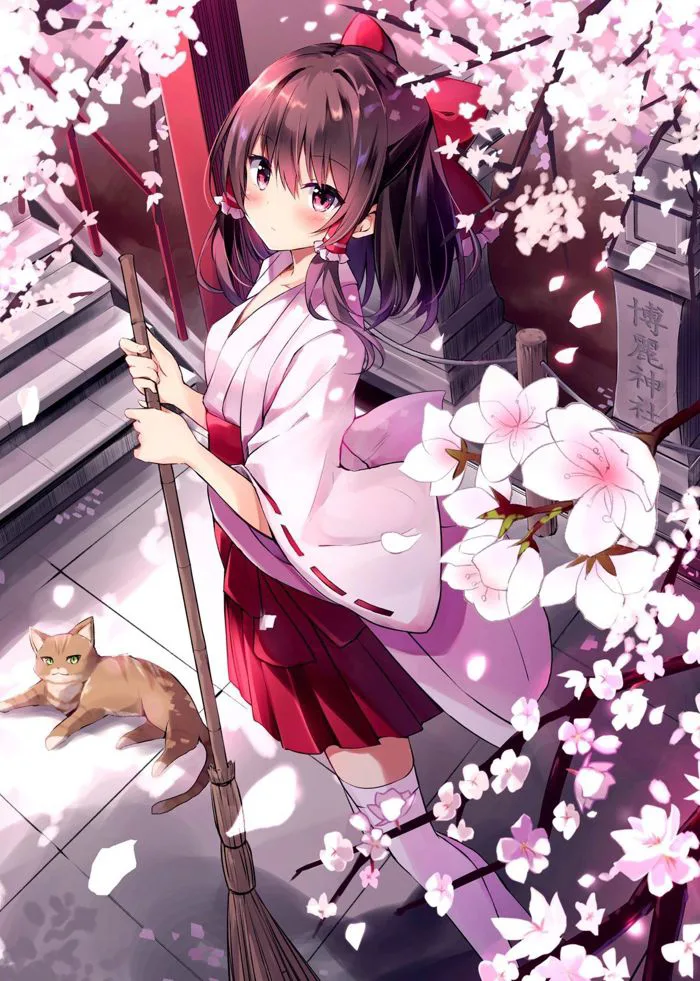 Khám phá 660 ý tưởng Anime♤mặc kimono và nghệ thuật anime | phim hoạt hình,  hoạt hình, minh họa manga và các ý tưởng khác