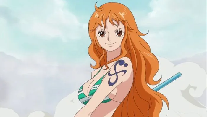 Nami One Piece: Thông tin chi tiết về Miêu Nữ của băng Mũ Rơm