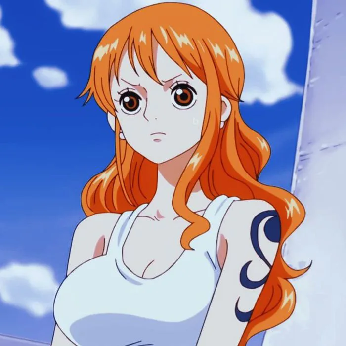 Hình ảnh | Anime one piece, Trong anime, Cảnh đẹp