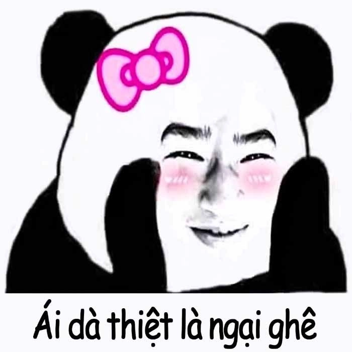 Khám phá ảnh meme ngại hài hước thú vị và siêu dễ thương