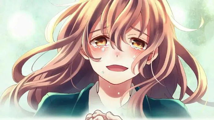 Top +100 Anime Khóc Cười Đẹp & Chất Đỉnh Cao Nhất Hiện Nay