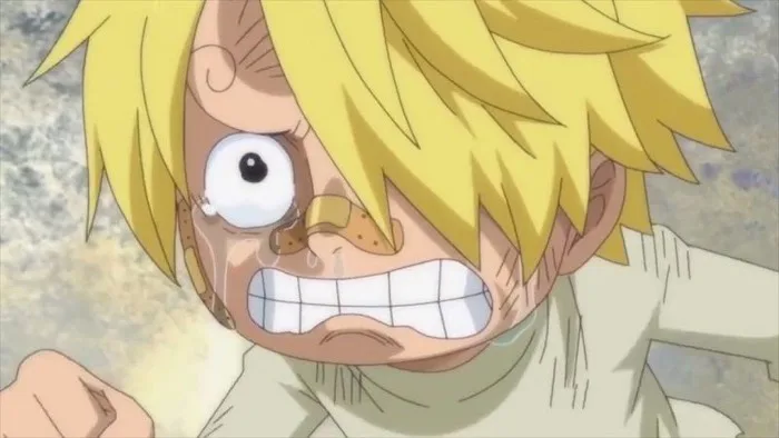 One Piece: Chúc mừng sinh nhật Hắc Cước Sanji và những thông tin thú vị  xung quanh ngày 2/3