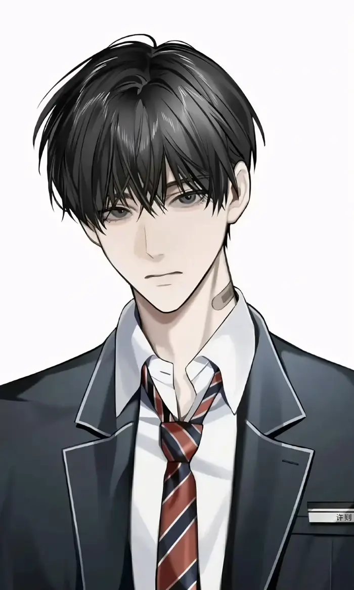 Trọn Bộ 100+ Avatar Ảnh ANIME Nam Ngầu Đi Học, Cute Chibi