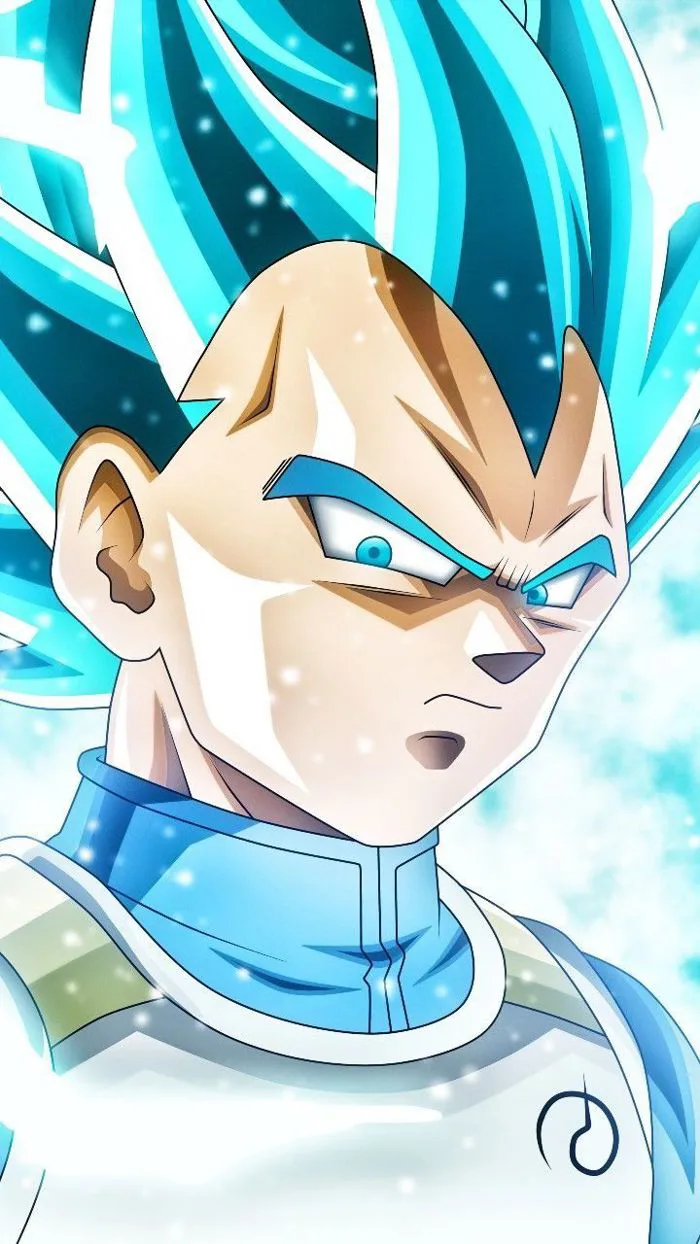 31 Vegeta ý tưởng | bảy viên ngọc rồng, dragon, goku