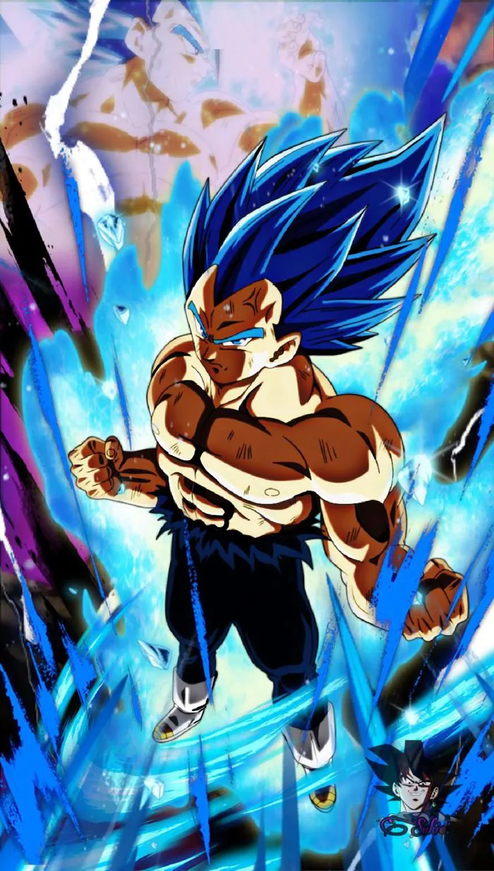Khám phá 75 ý tưởng Vegeta Super Saiyan Blue và bảy viên ngọc rồng | dragon  ball z, dragon, goku và các ý tưởng khác