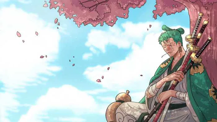 Ảnh Anime Zoro, Hình Zoro Ngủ [67+ Hình Anime One Piece Zoro Ngầu Nhất]
