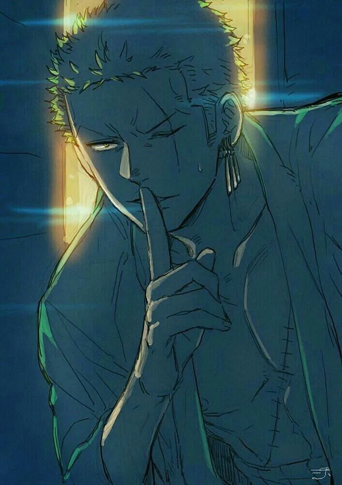 88 Zoro ý tưởng | anime one piece, mũ rơm, hoạt hình