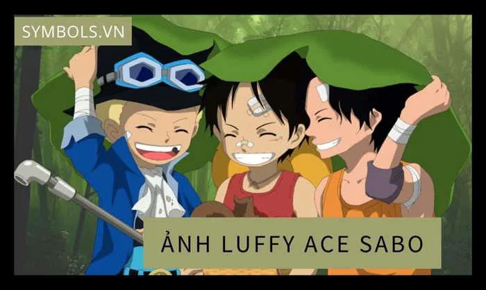 Ảnh Luffy Ace Sabo Lúc Nhỏ Đẹp [51+ Ảnh Luffy Hồi Nhỏ Cute]