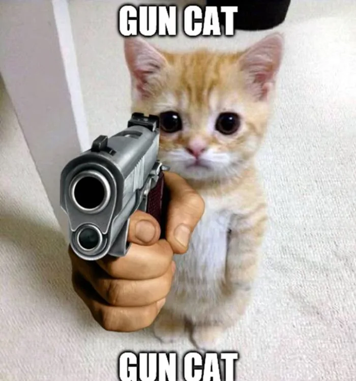 Tuyển tập meme cầm súng cực hài hước, đáng yêu, đem lại tiếng cười cho cuộc  trò chuyện của bạn