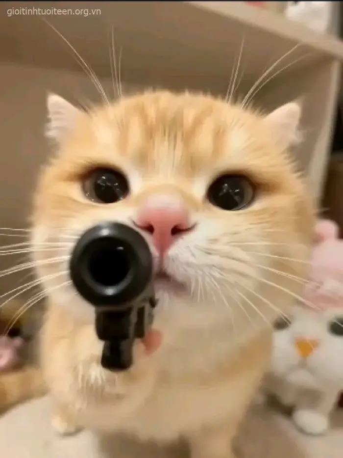 100+ Meme Cầm Súng, Chỉa Súng Vào Màn Hình đậm chất xã hội đen nhưng vẫn  hài hước
