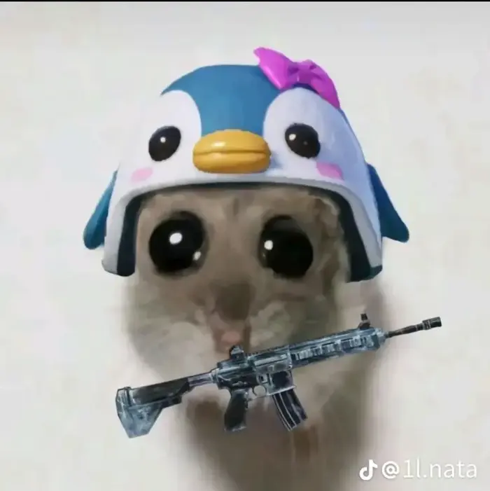 100+ Meme Cầm Súng, Chỉa Súng Vào Màn Hình đậm chất xã hội đen nhưng vẫn  hài hước