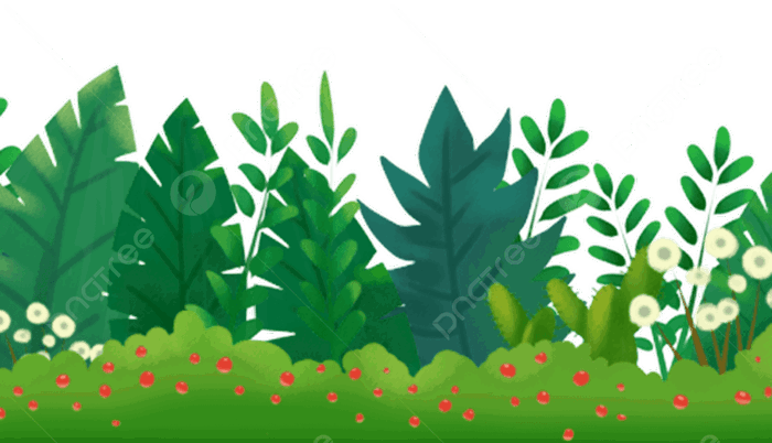 Hình ảnh Cây Cối Chibi PNG, Vector, PSD, và biểu tượng để tải về miễn phí |  pngtree