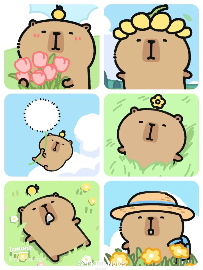 Avatar capybara chibi cute: ảnh hoạt hình dễ thương làm avt, hình nền điện  thoại