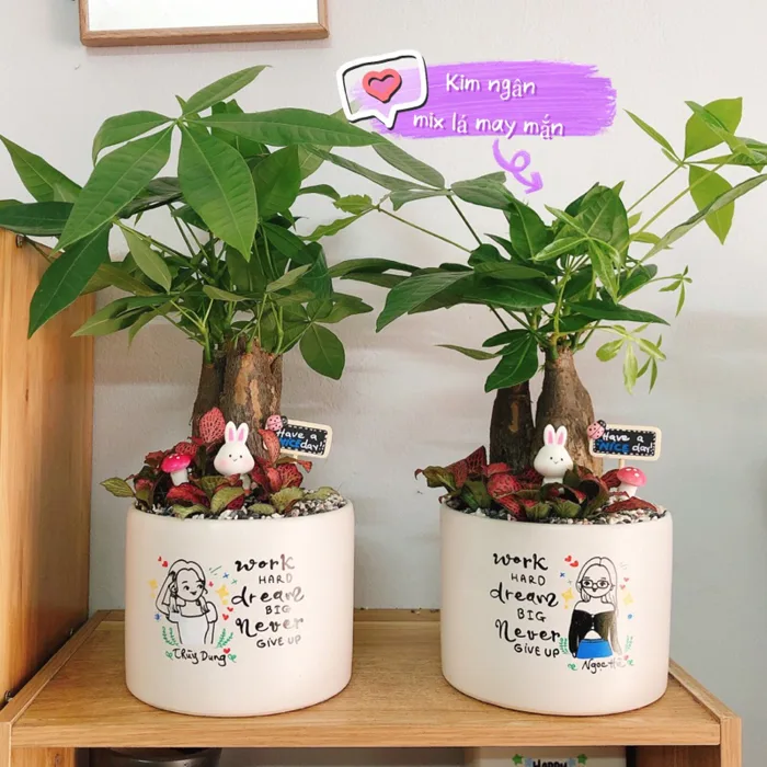 Chọn theo loại cây} Chậu cây vẽ chibi theo yêu cầu | Shopee Việt Nam