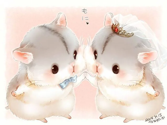 Kết quả hình ảnh cho chuột hamster anime