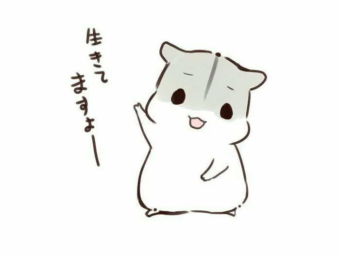 Khám phá 150 ý tưởng Hamster và chuột hamster | chuột bạch, minh họa động  vật, hamster và các ý tưởng khác