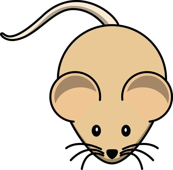Tải 15+ mẫu con chuột vector full định dạng AI, PNG, SVG, CDR, EPS miễn phí  - Inviva.vn