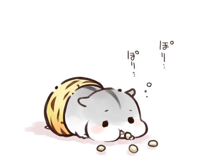 Chuột bạch | Thần nông, Chuột hamster, Động vật cute