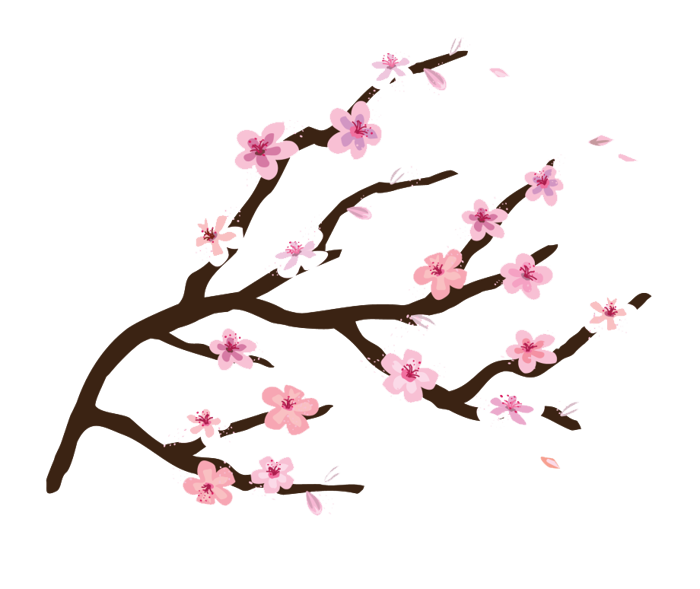 Tổng hợp ảnh Hoa Đào PNG