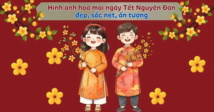 999+ hình ảnh hoa mai ngày Tết Nguyên Đán đẹp, sắc nét, ấn tượng 2026
