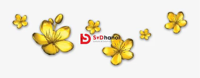 Download 300+ mẫu hoa mai Vector file AI, PSD, CDR, PNG đẹp