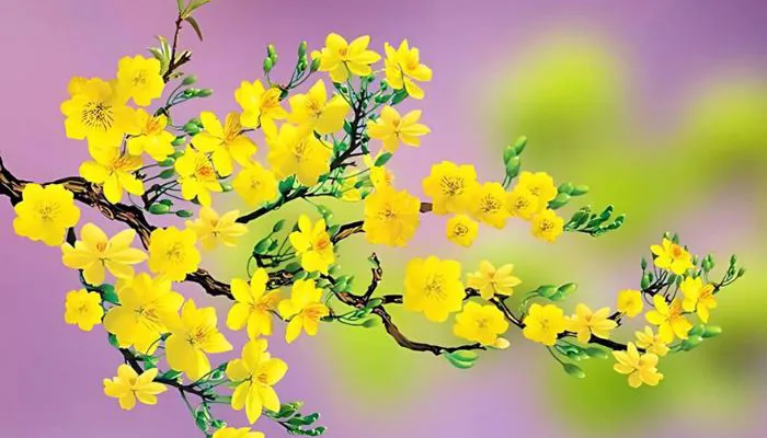 999+ Hình Nền Hoa Mai Tết Full HD, MIỄN PHÍ