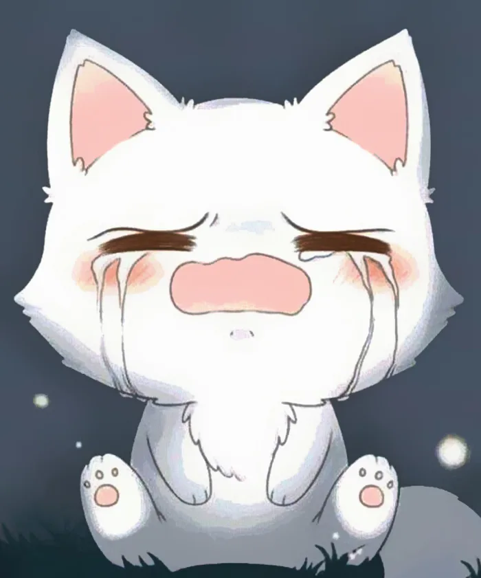 Hình ảnh mèo khóc cute, đáng yêu