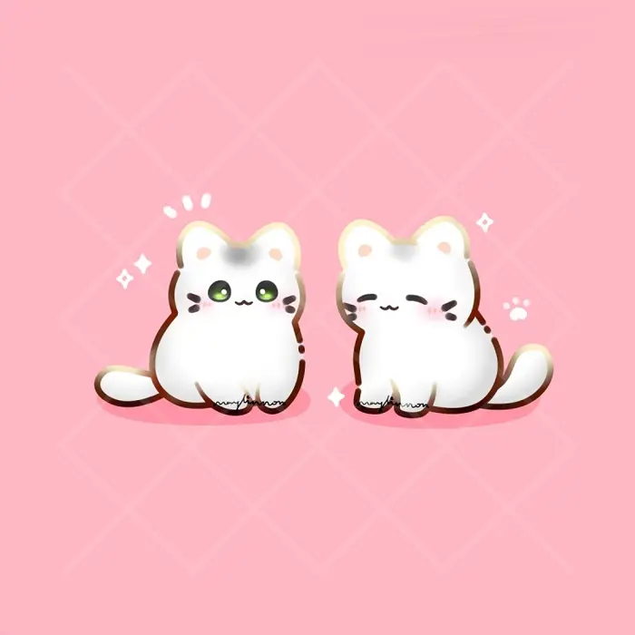 Tổng hợp ảnh mèo chibi cute khiến bạn mê mẩn không rời mắt