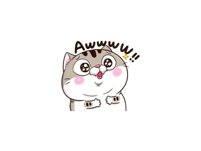 32+ hình ảnh mèo cute ngộ nghĩnh siêu đáng yêu làm avatar