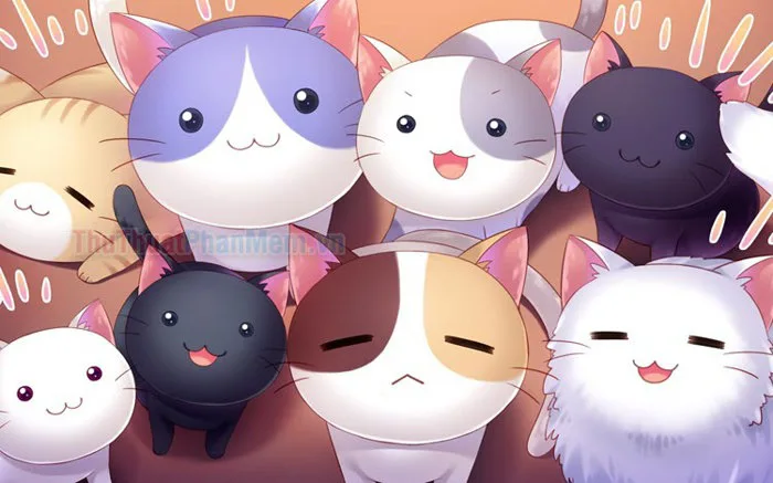 Mèo chibi mập mạp đáng yêu, ngộ nghĩnh