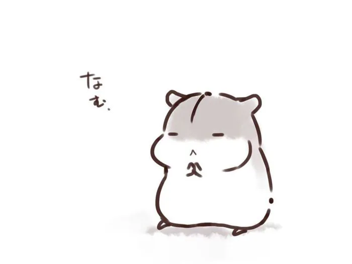 80 Sóc cute ý tưởng | chuột hamster, minh họa động vật, ảnh tường vui nhộn