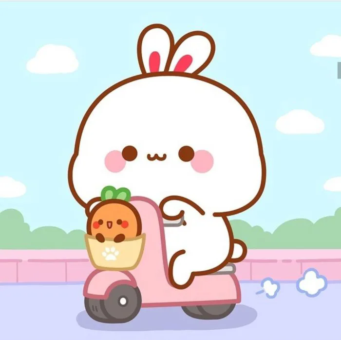 9 Hình thỏ cute ý tưởng | dễ thương, đang yêu, chibi