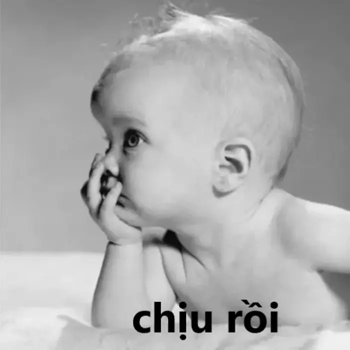 Story » 36 ảnh Meme Chịu Thua, Chịu Rồi hài hước khi buông xuôi không giải quyết nổi