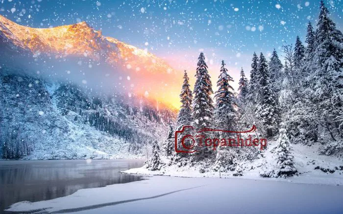 Ảnh nền 8K – Bộ sưu tập ảnh siêu chân thực, sắc nét và ấn tượng –  topanhdep.com