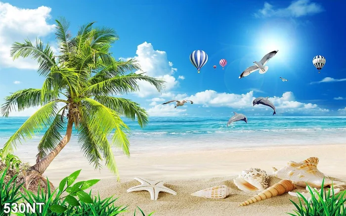 Bộ sưu tập hình nền biển đẹp mê hoặc dành cho điện thoại, mang đến vẻ đẹp  tinh khôi của đại dương.